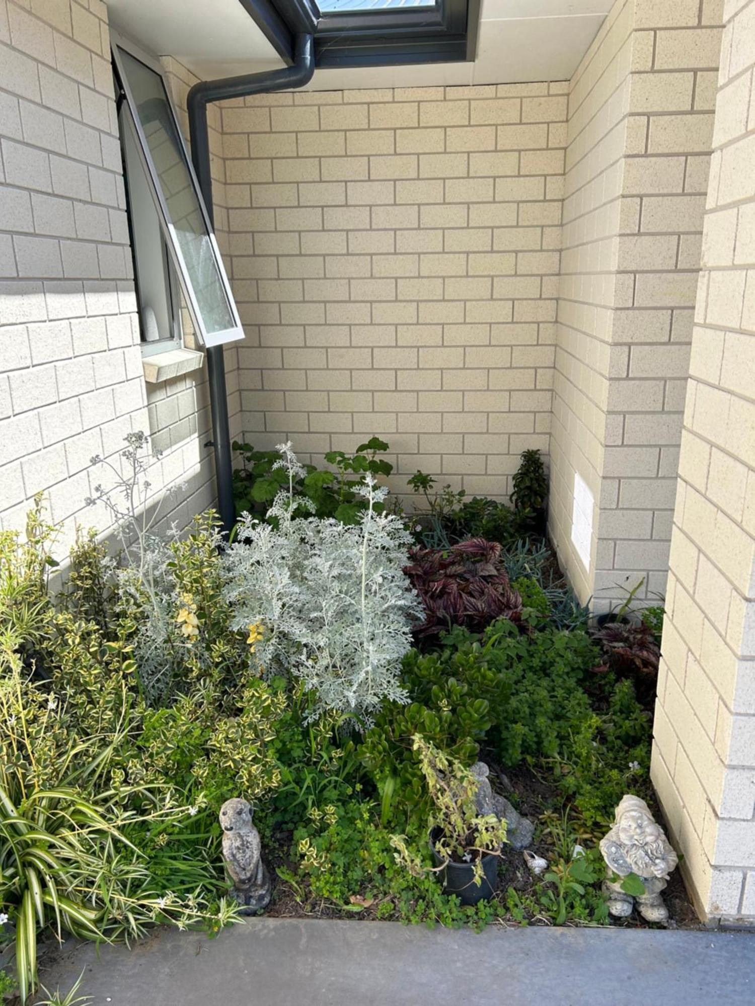 Almost Heaven Bnb New Plymouth Extérieur photo