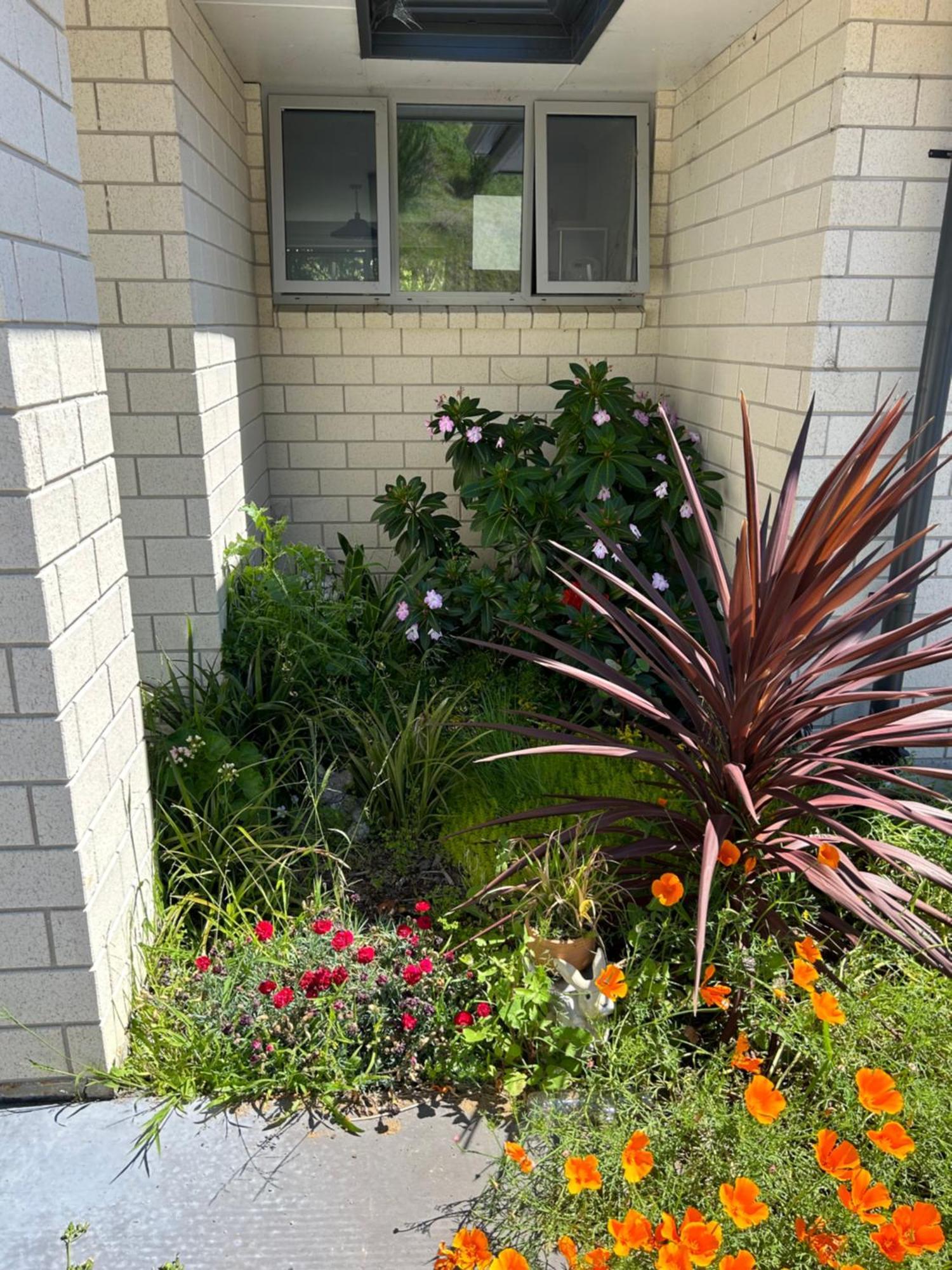 Almost Heaven Bnb New Plymouth Extérieur photo