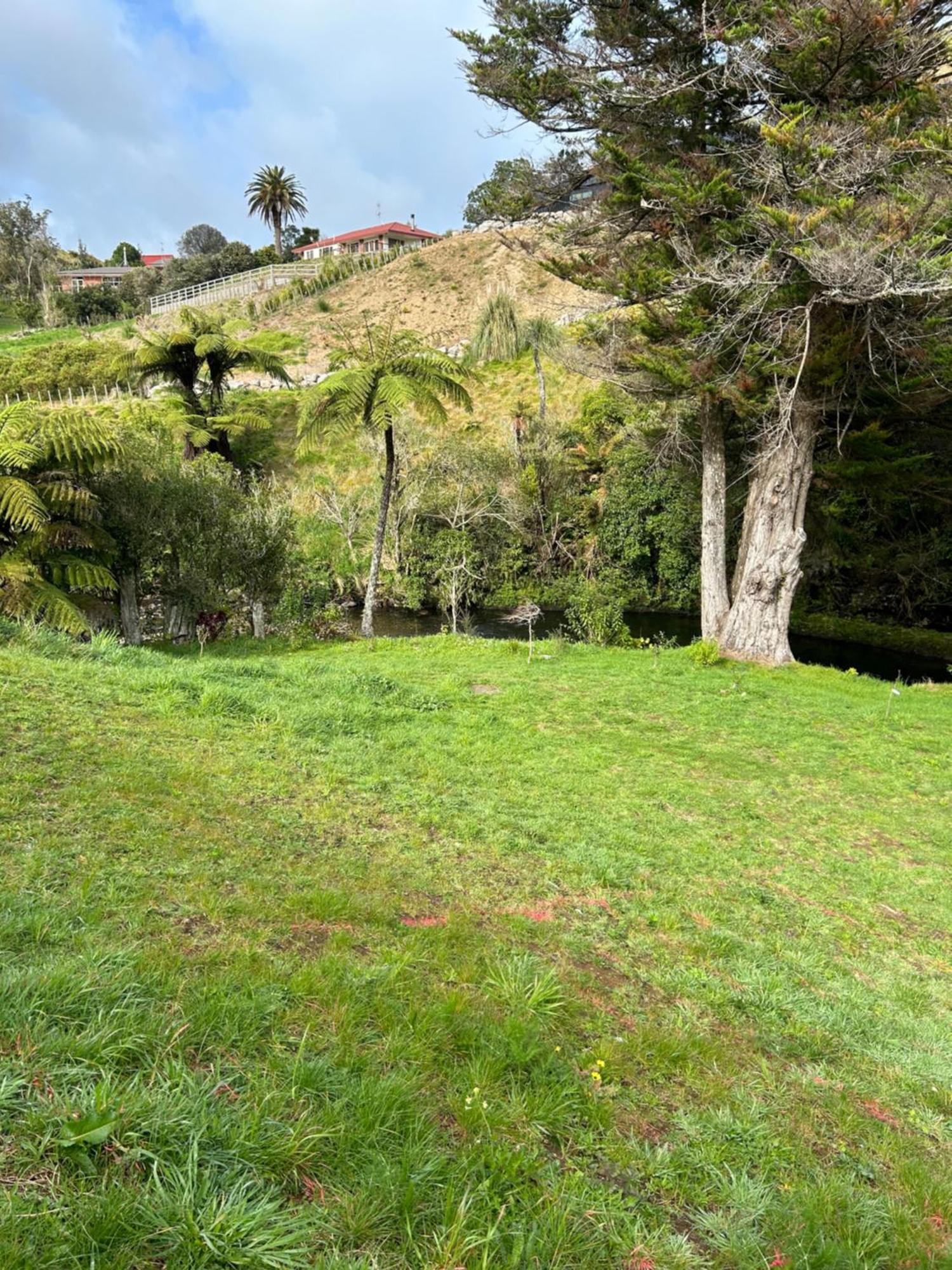 Almost Heaven Bnb New Plymouth Extérieur photo