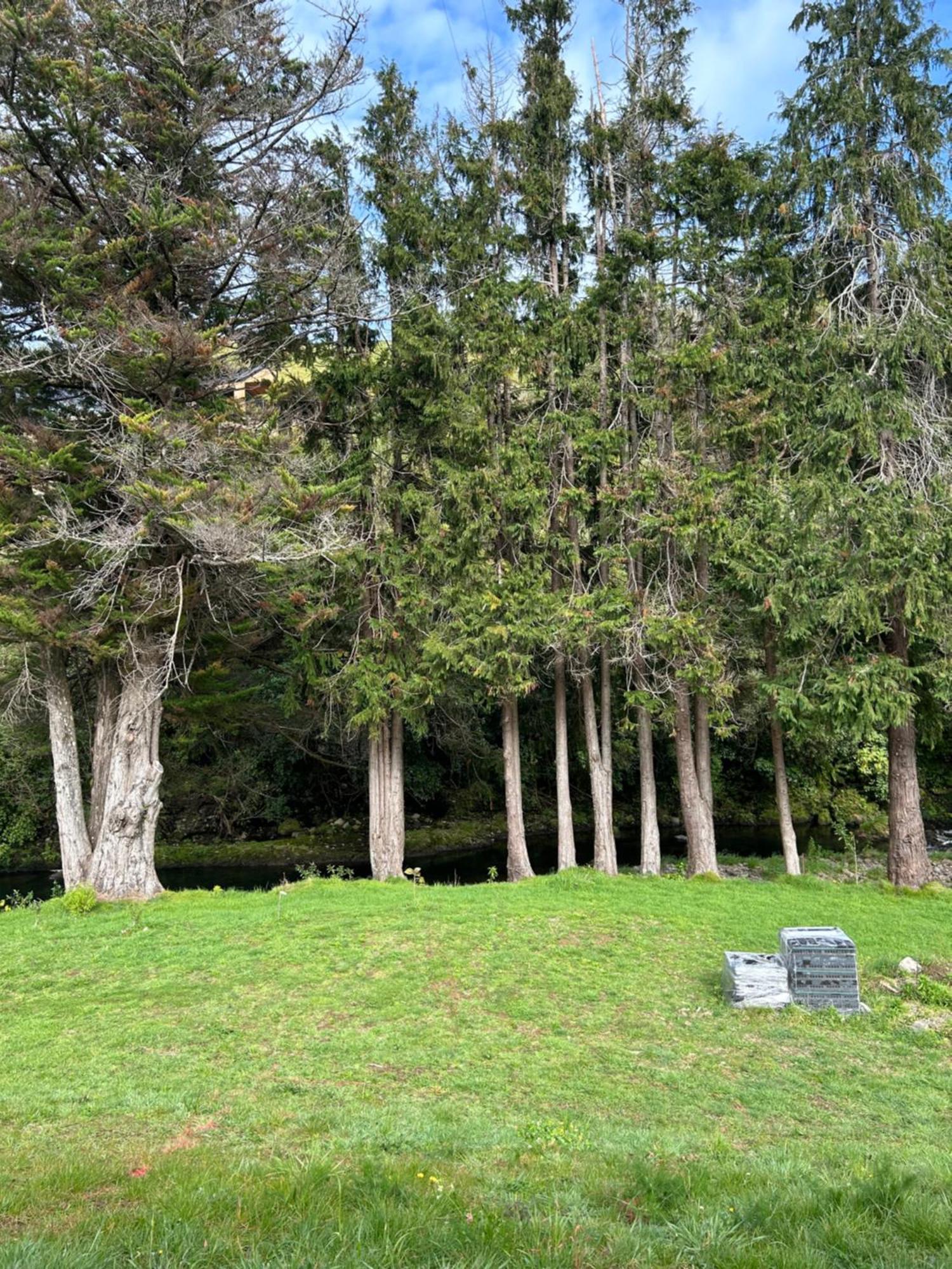 Almost Heaven Bnb New Plymouth Extérieur photo